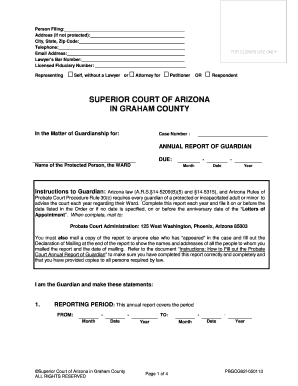 GUARDIANSHIP Annual Report of Guardian INSTRUCTIONS