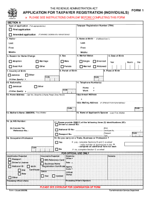 Jamaica Taxpayer Registration Form