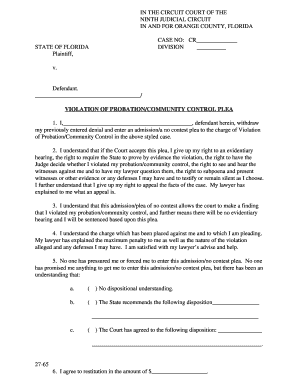 Violation of Probation Plea Form