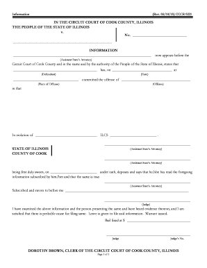Illinois Criminal Information Form