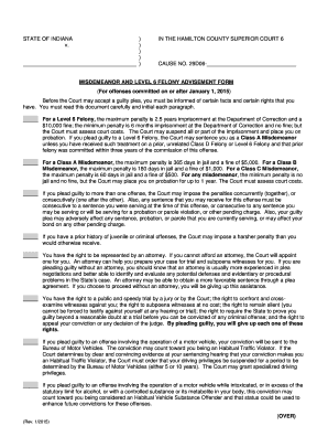 Indiana Misdemeanor and Felony Advisement Form