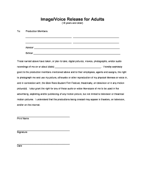 Image and Voice Release for Adults
