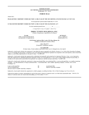 Form 10-q directview holdings inc - SEC Compliance