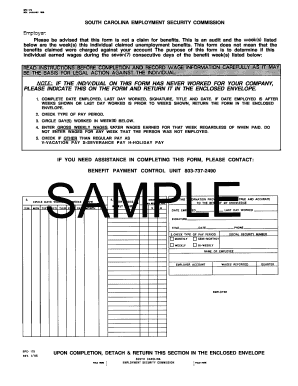 South Carolina Unemployment Benefit Audit Form