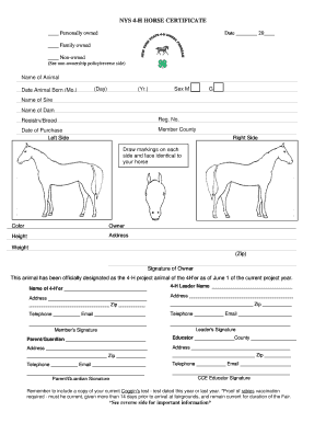 NYS 4-H Horse Certificate