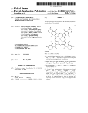 US Patent Application Publication Form