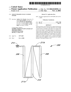 US 20040220596A1