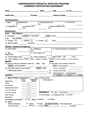 Postpartum Assessment Form