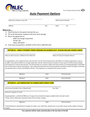 Auto Payment Agreement