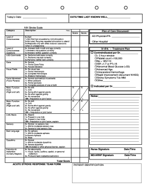 NIH Stroke Scale Assessment Form