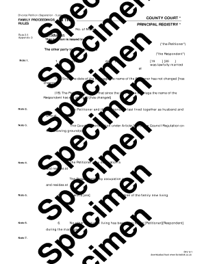 Divorce Petition (Separation - 5 years)