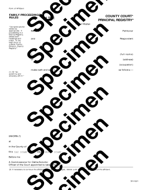 Family Proceedings Affidavit Form