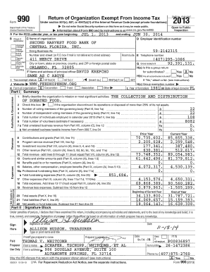 IRS Form 990 2013