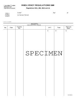 Insolvency Receipts and Payments Account Form