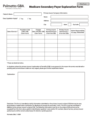 Medicare Secondary Payer Explanation Form