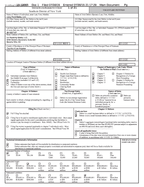 US Bankruptcy Voluntary Petition