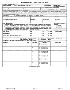 Commercial Loan Application Form
