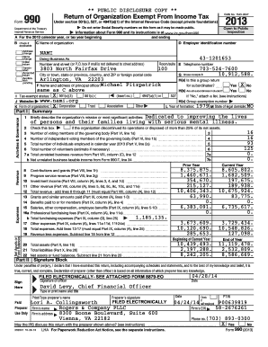 Form 990 2013