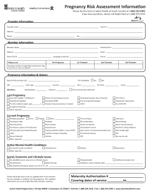 Pregnancy Risk Assessment Form