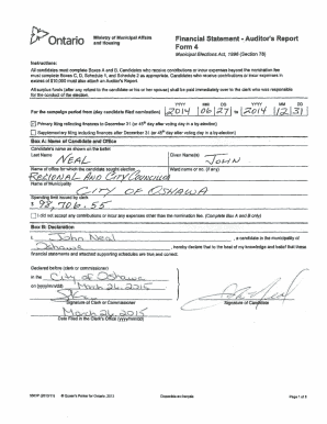 Ontario Municipal Election Financial Statement