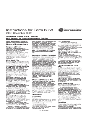 Form 8858 Instructions