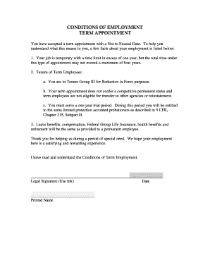 Term Employment Conditions Agreement