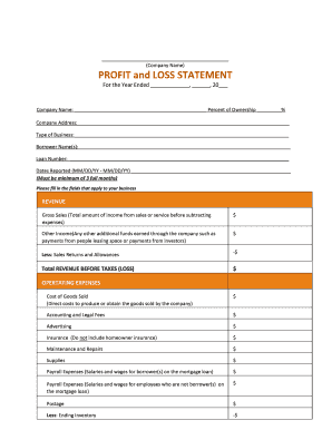 Profit and Loss Statement Template