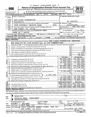 IRS Form 990 2013