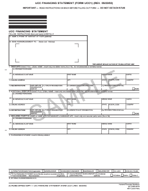UCC Financing Statement Form UCC1