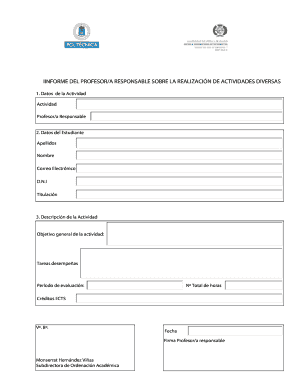 Informe del Profesor/a Responsable sobre la Realización de Actividades Diversas