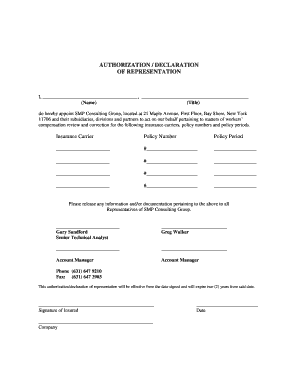 Authorization Declaration of Representation