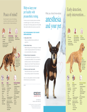 Preanesthetic Testing for Pets
