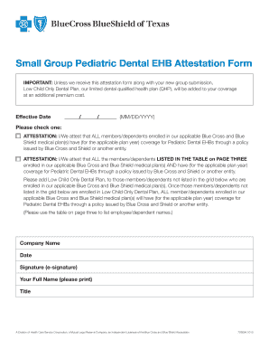 Small Group Pediatric Dental EHB Attestation Form