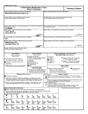 US Bankruptcy Court Voluntary Petition