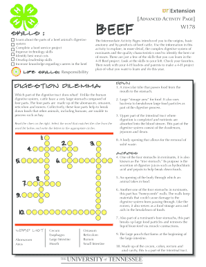 Beef Digestive System Activity Page