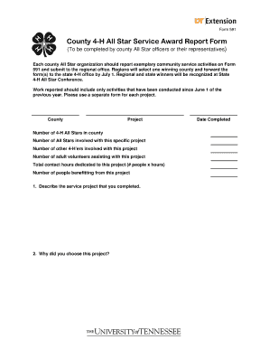 4-H All Star Service Award Report Form
