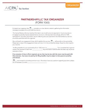 Da form 5500 example - PARTNERSHIPLLC TAX ORGANIZER FORM 1065 - bwp-ra-usadeb