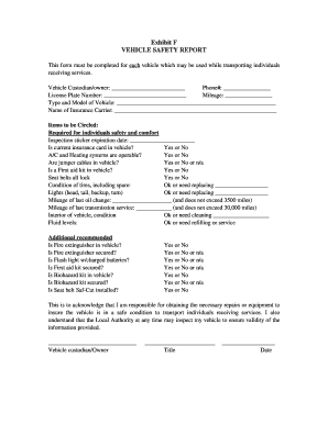 Vehicle Safety Report Form