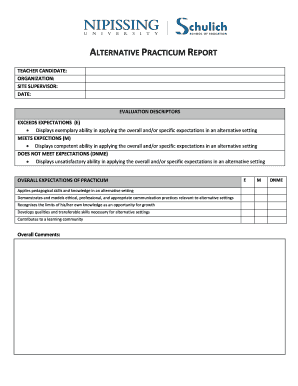 Alternative Practicum Report