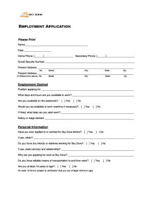Sky Zone Employment Application Form