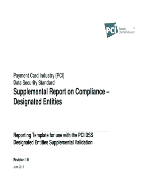 PCI DSS Designated Entities Supplemental Report