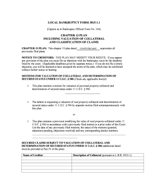 Chapter 13 Plan Form 3015-1.1