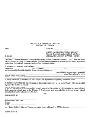 Order Valuing Property and Avoiding Lien in Chapter 13