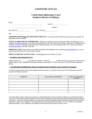 Chapter 13 Bankruptcy Plan