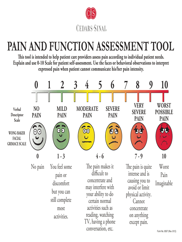 Fillable Online PAIN AND FUNCTION ASSESSMENT TOOL Fax Email Print ...