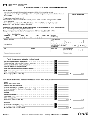 Non-Profit Organization Information Return