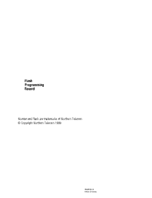 Flash System Programming Form