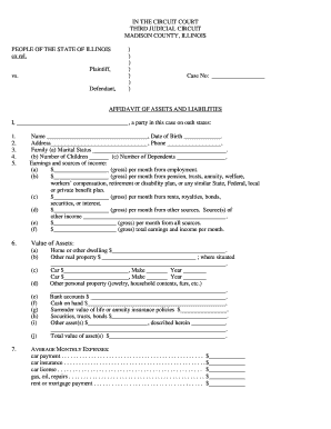 Illinois Affidavit of Assets and Liabilities