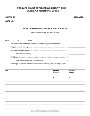 Ohio Probate Court Assets Form