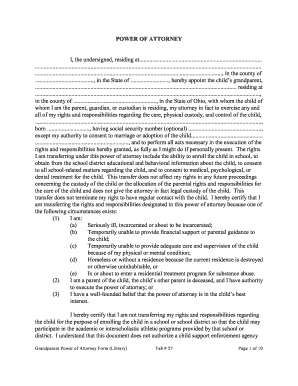 Grandparent Power of Attorney Form